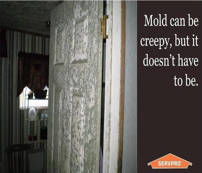 Moisture and mold on door in dark room