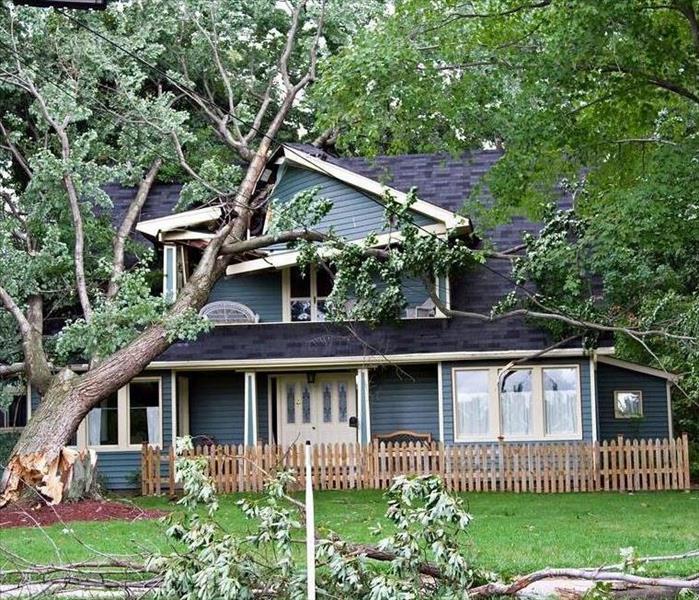 Tree fallen on the house 
